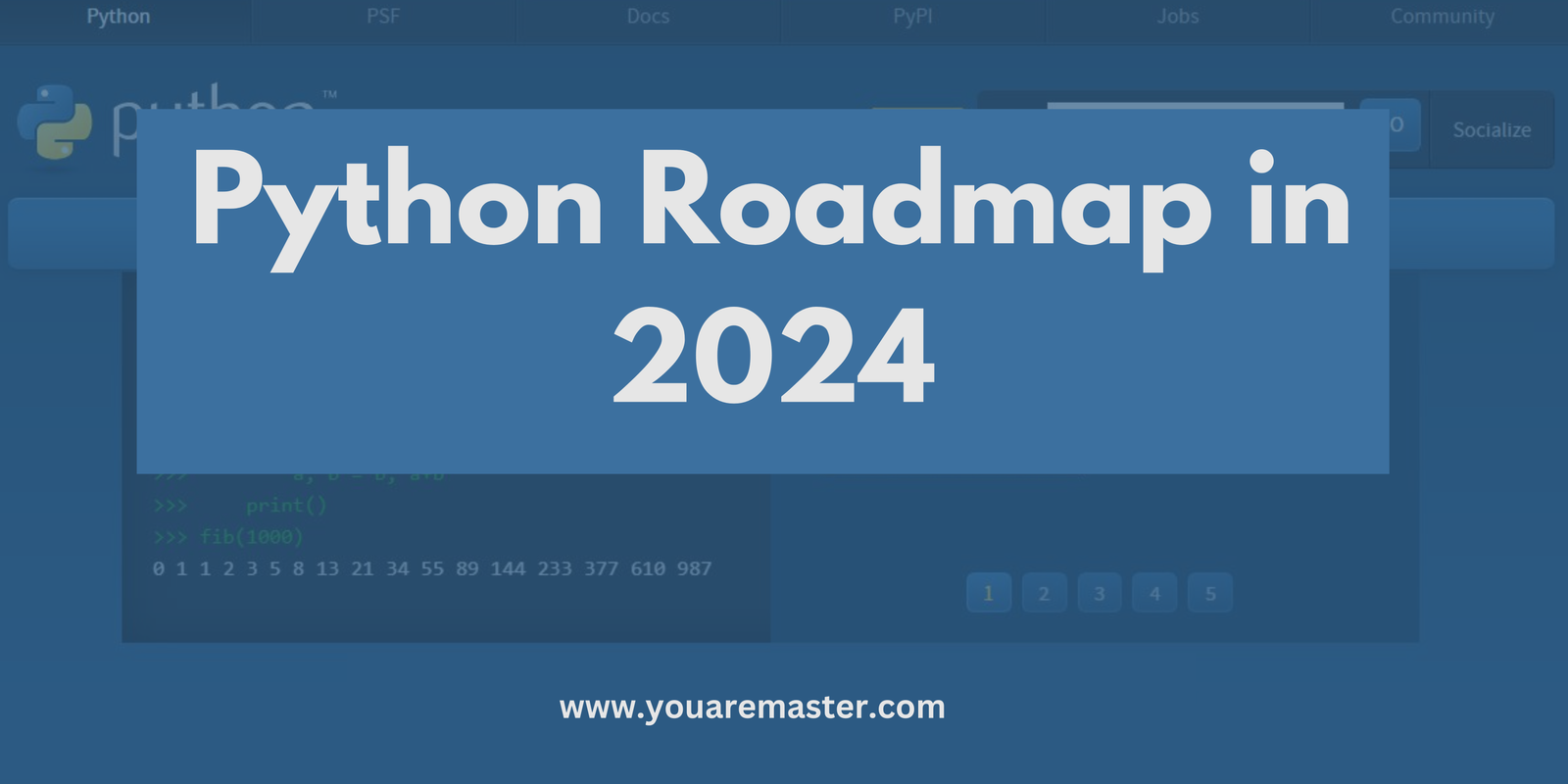 Python Roadmap in 2024